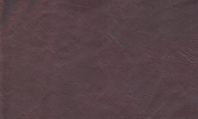 Anilin Læder - Mørkebrun (helt hud)