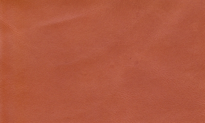 Anilin Læder - Orange (helt hud)