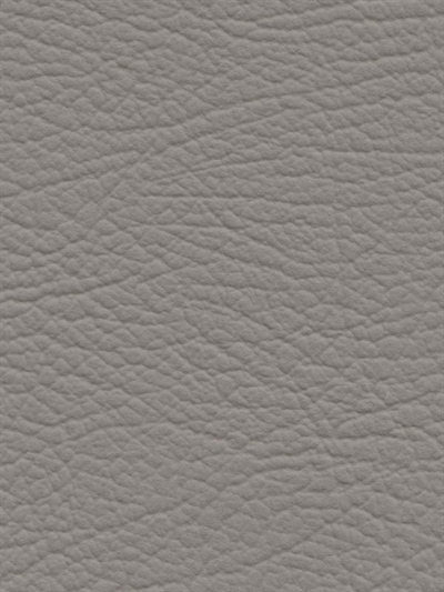 Autolæder Premium - Sand Grey (Helt hud)